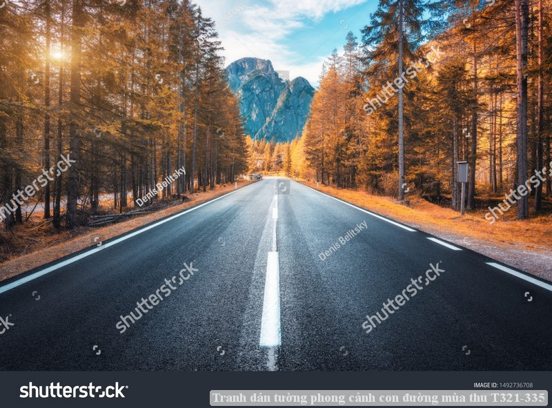 Tranh dán tường phong cảnh con đường mùa thu T321-335